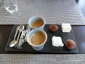 20130923_SAM_1461_ES71